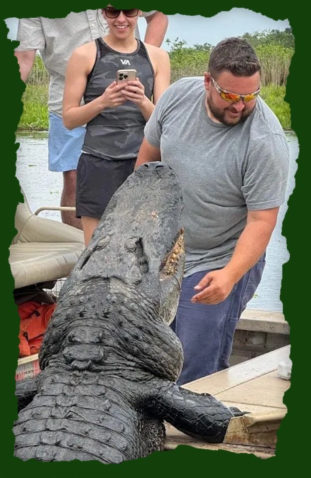 Capt. Chad Matherne on deck as an alligator rises alongside